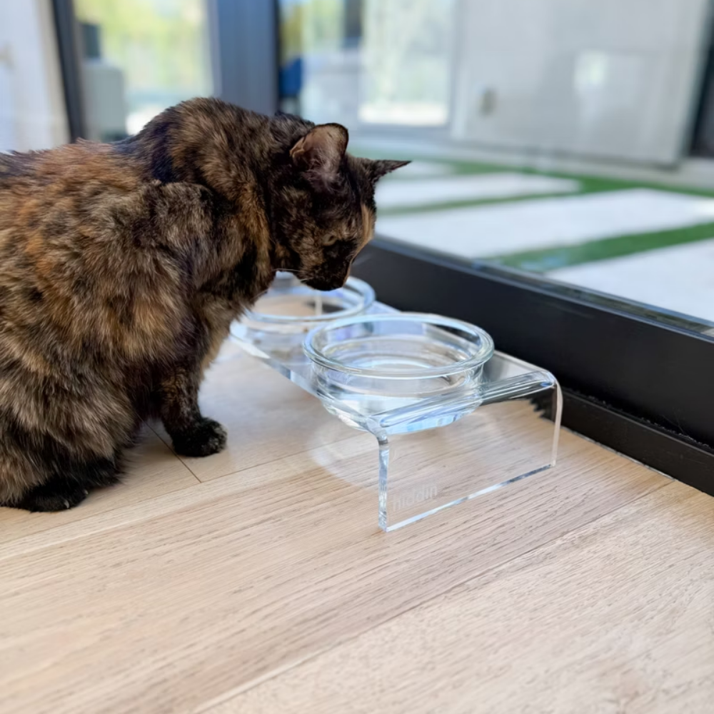 Clear Double Glass Bowl Feeder