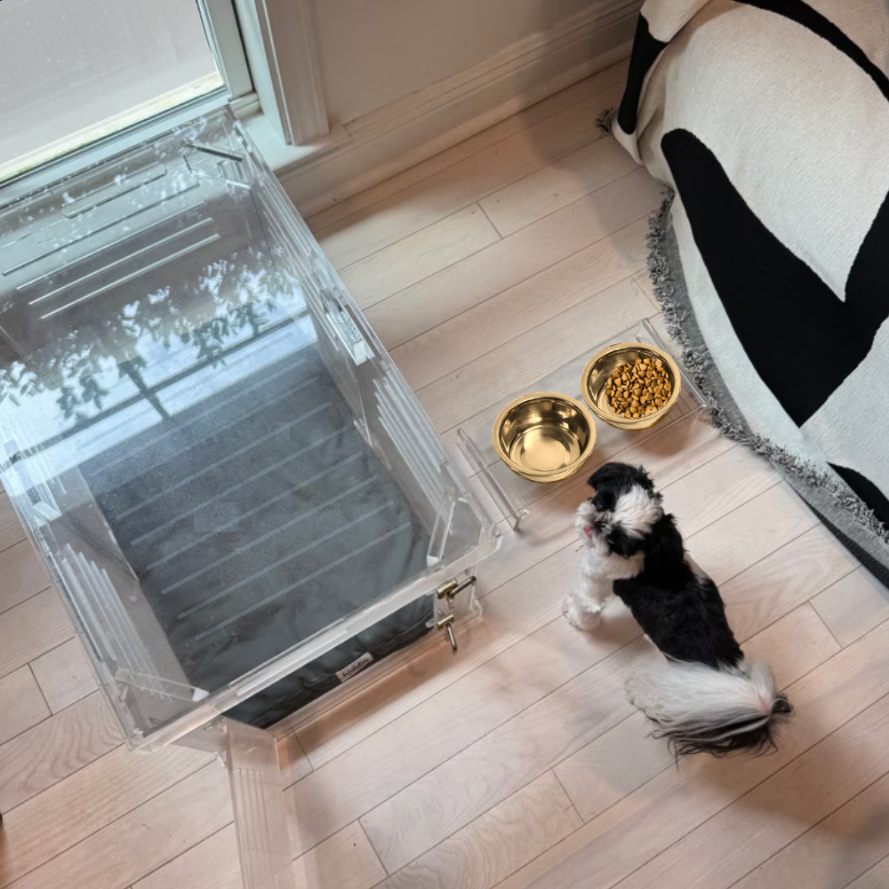 Hiddin Small Gold Elevated Pet Feeder lifestyle image