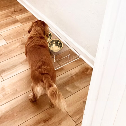 Hiddin Small Gold Elevated Pet Feeder product detail