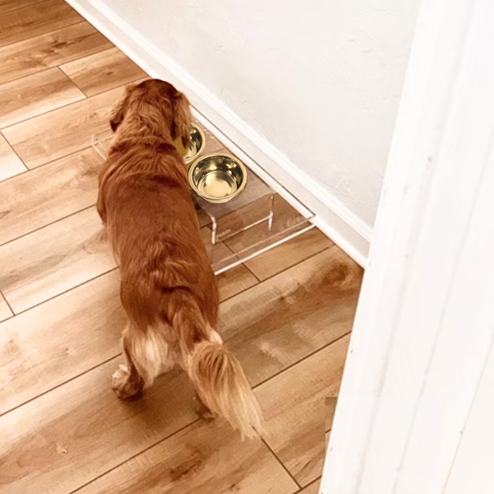 Clear Overflow Feeder Tray