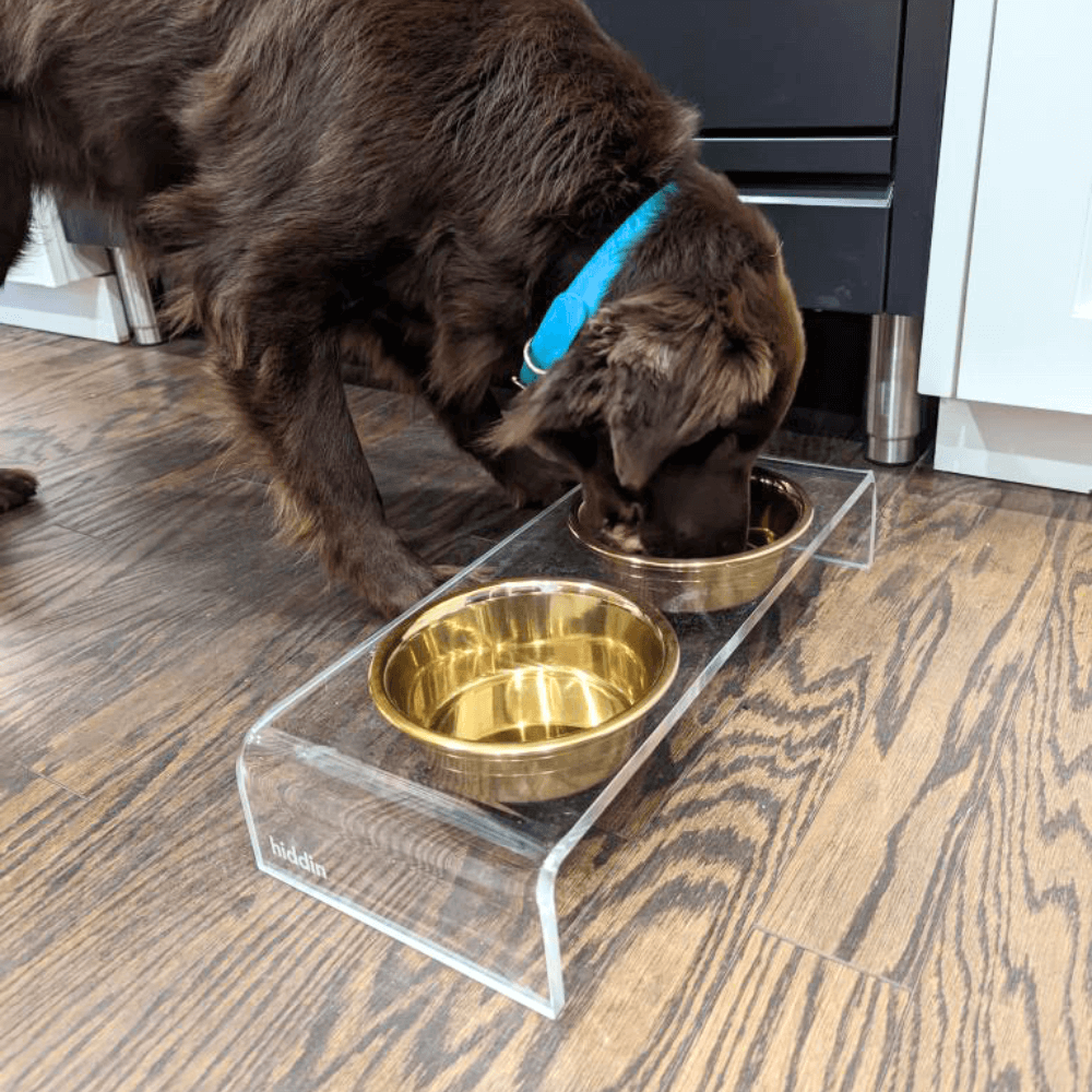Hiddin Small Gold Feeder shown in use