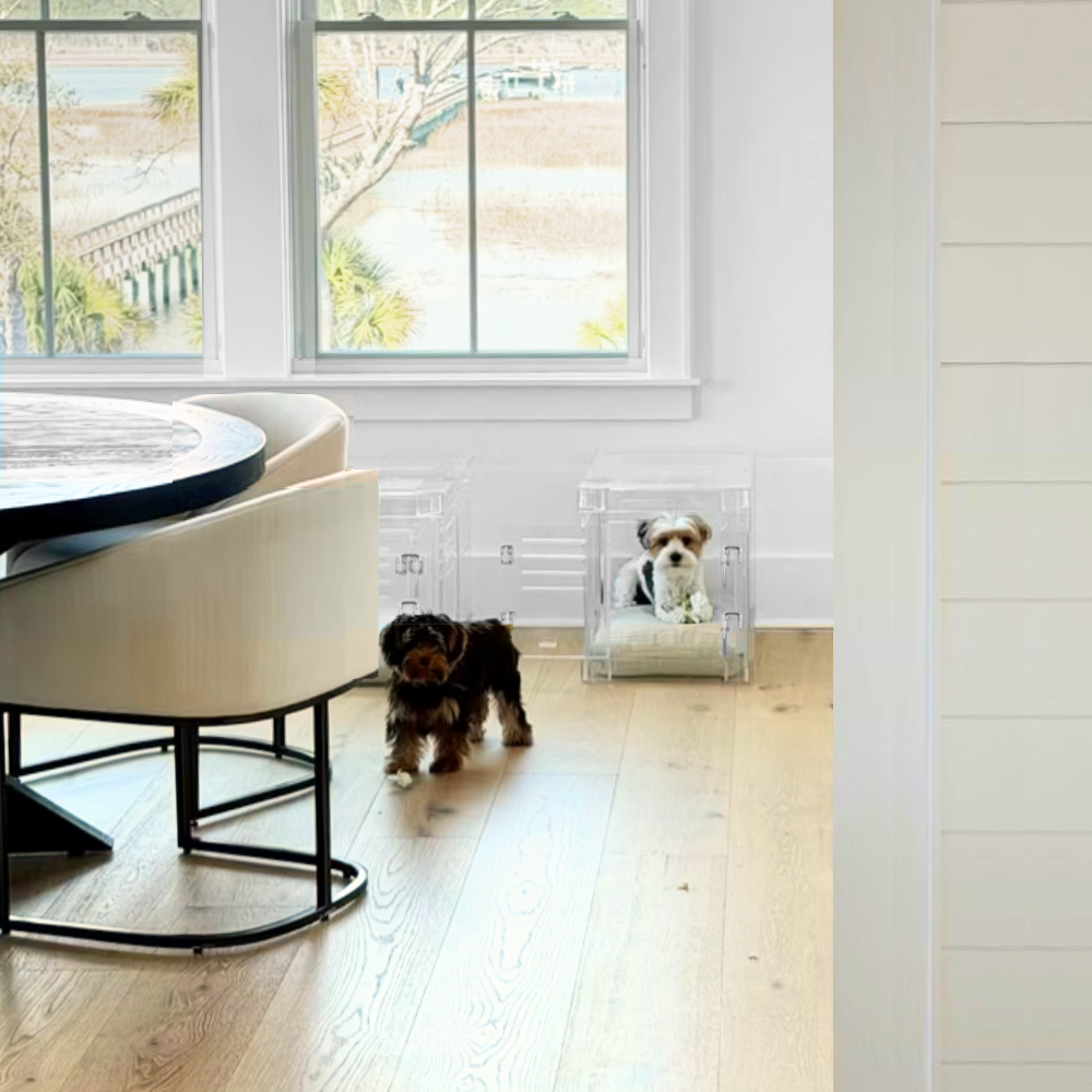 Hiddin Small Clear Pet Crate lifestyle view