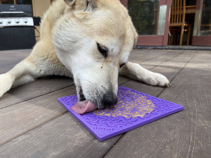 Additional view of the SodaPup Bones eMat