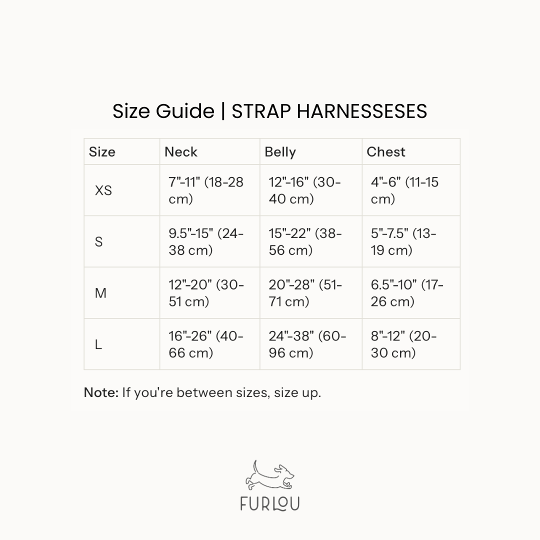 FURLOU Rainbow Dog Harness strap and buckle detail
