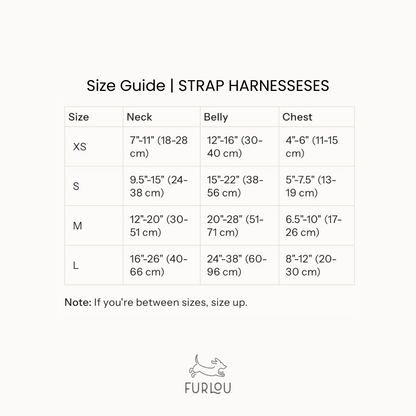 FURLOU Rainbow Dog Harness strap and buckle detail