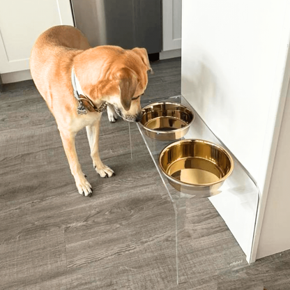 Dog drinking from the tall clear double gold feeder