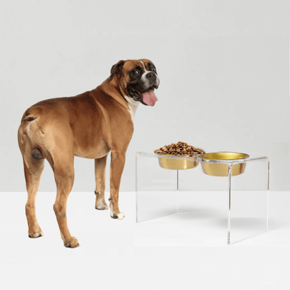 Large dog beside gold feeders in multiple heights