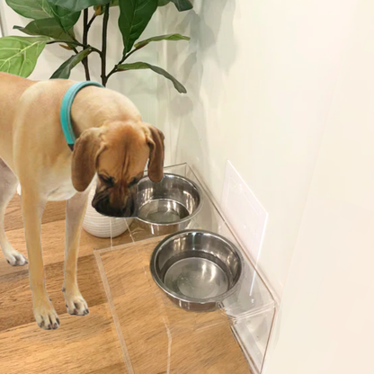 Tall Clear Double Feeder with Silver Bowls