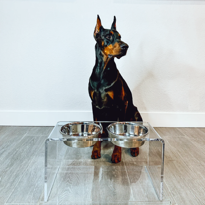 Tall Clear Double Feeder with Silver Bowls