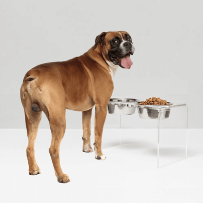 Tall Clear Double Feeder with Silver Bowls
