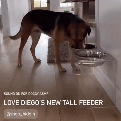 Tall Clear Double Feeder with Silver Bowls