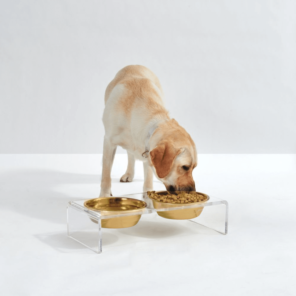 Hiddin elevated pet feeder lifestyle comparison