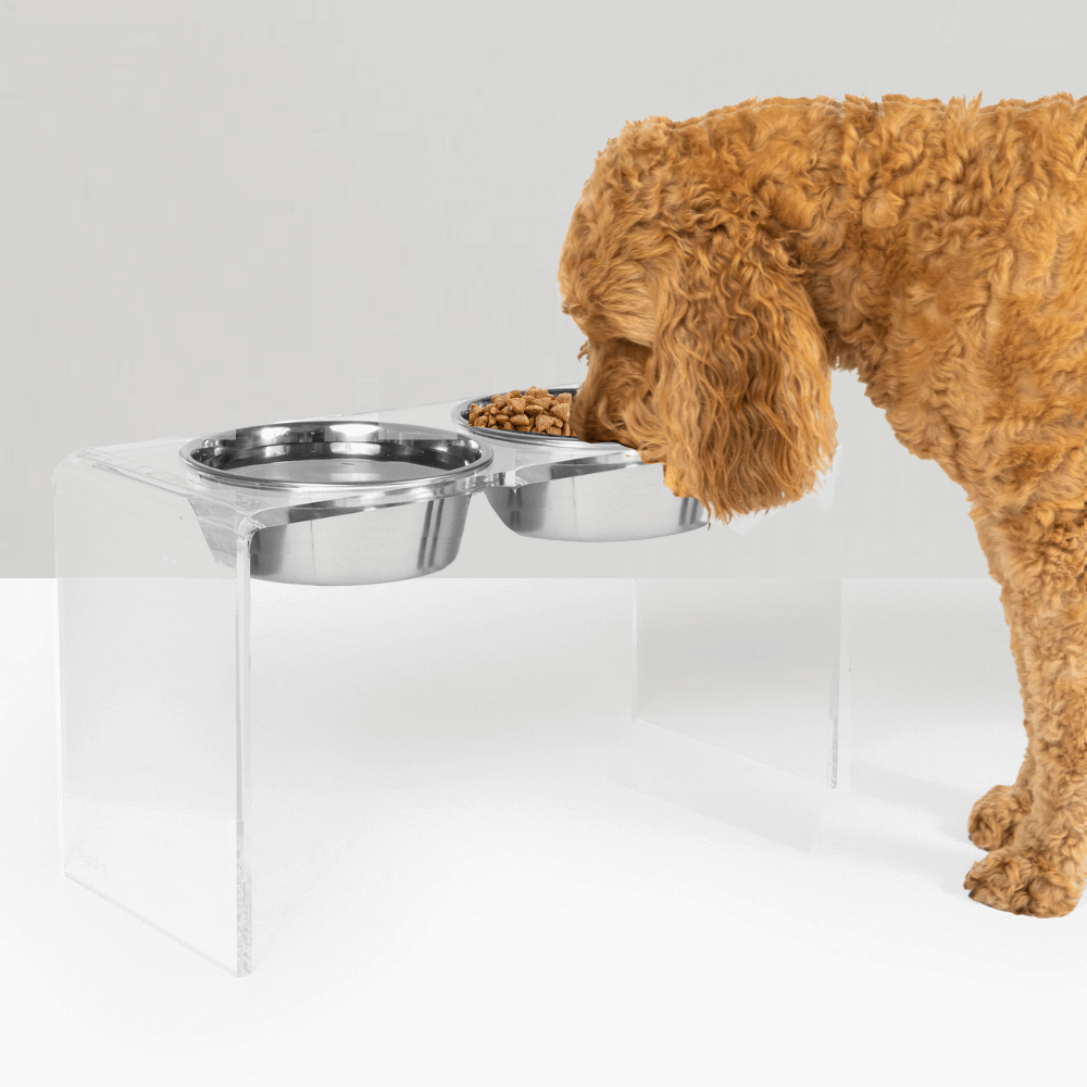 Tall Clear Double Feeder with Silver Bowls