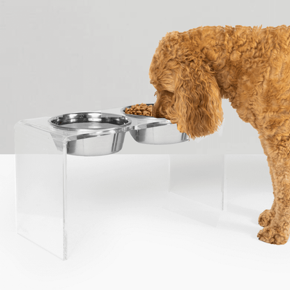 Tall Clear Double Feeder with Silver Bowls