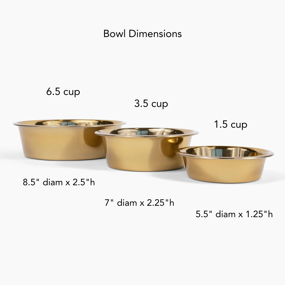 Hiddin clear acrylic pet product lifestyle image