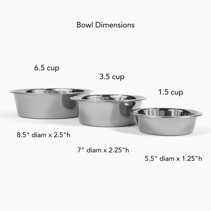 Tall Clear Double Feeder with Silver Bowls