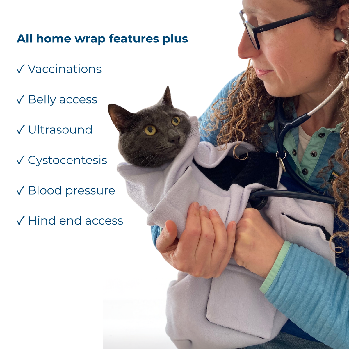 Cat wearing the Pro Cat Wrap with care-access panels visible