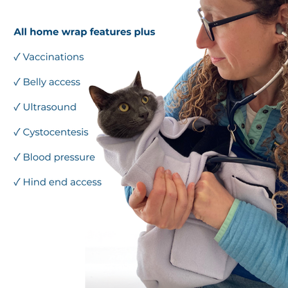 Cat wearing the Pro Cat Wrap with care-access panels visible