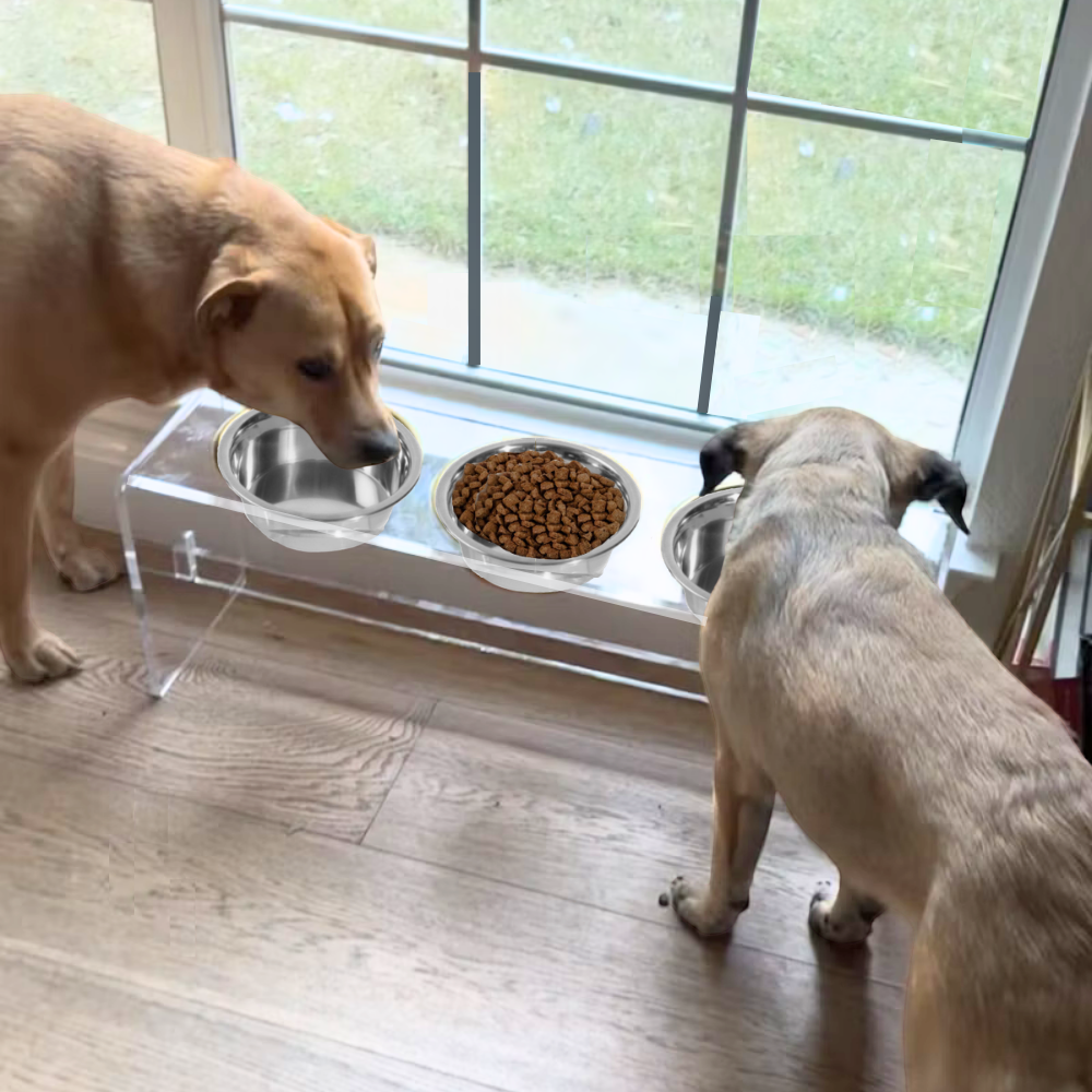 Two dogs eating from the tall clear triple silver feeder