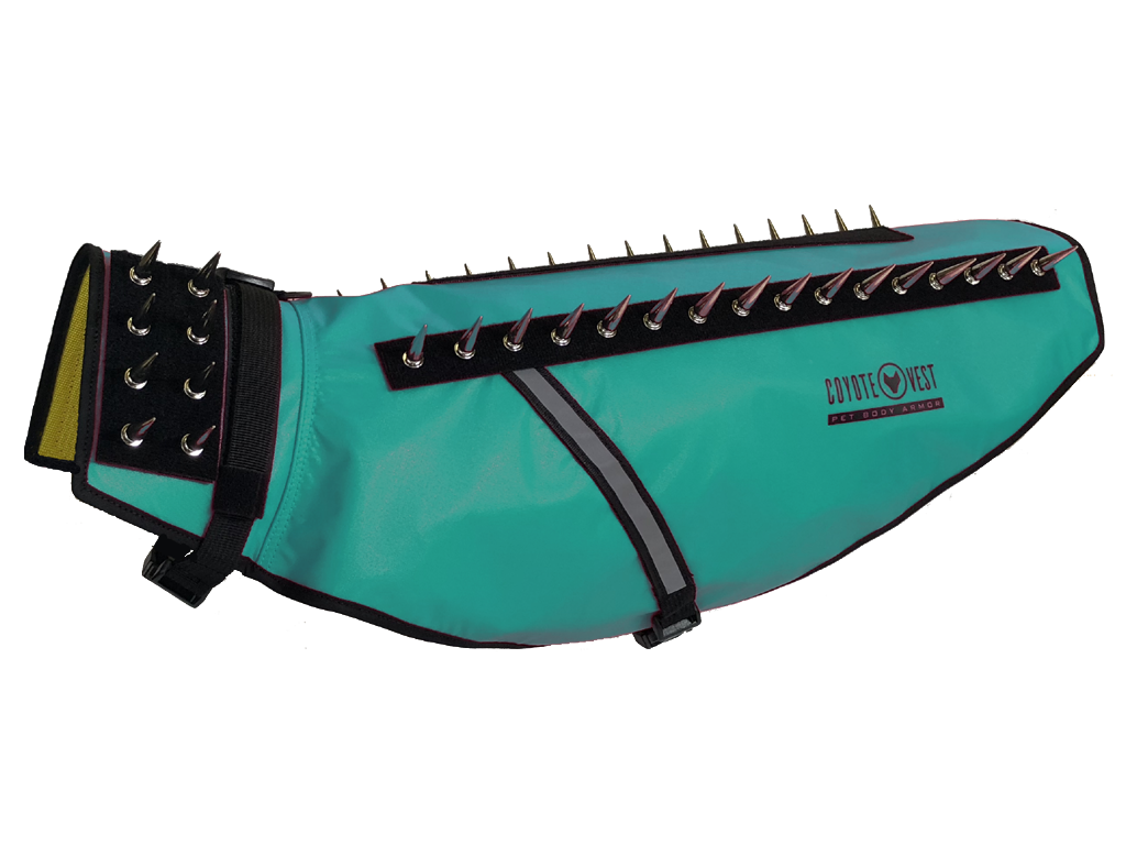 CoyoteVest Protective Dog Vest turquoise color view