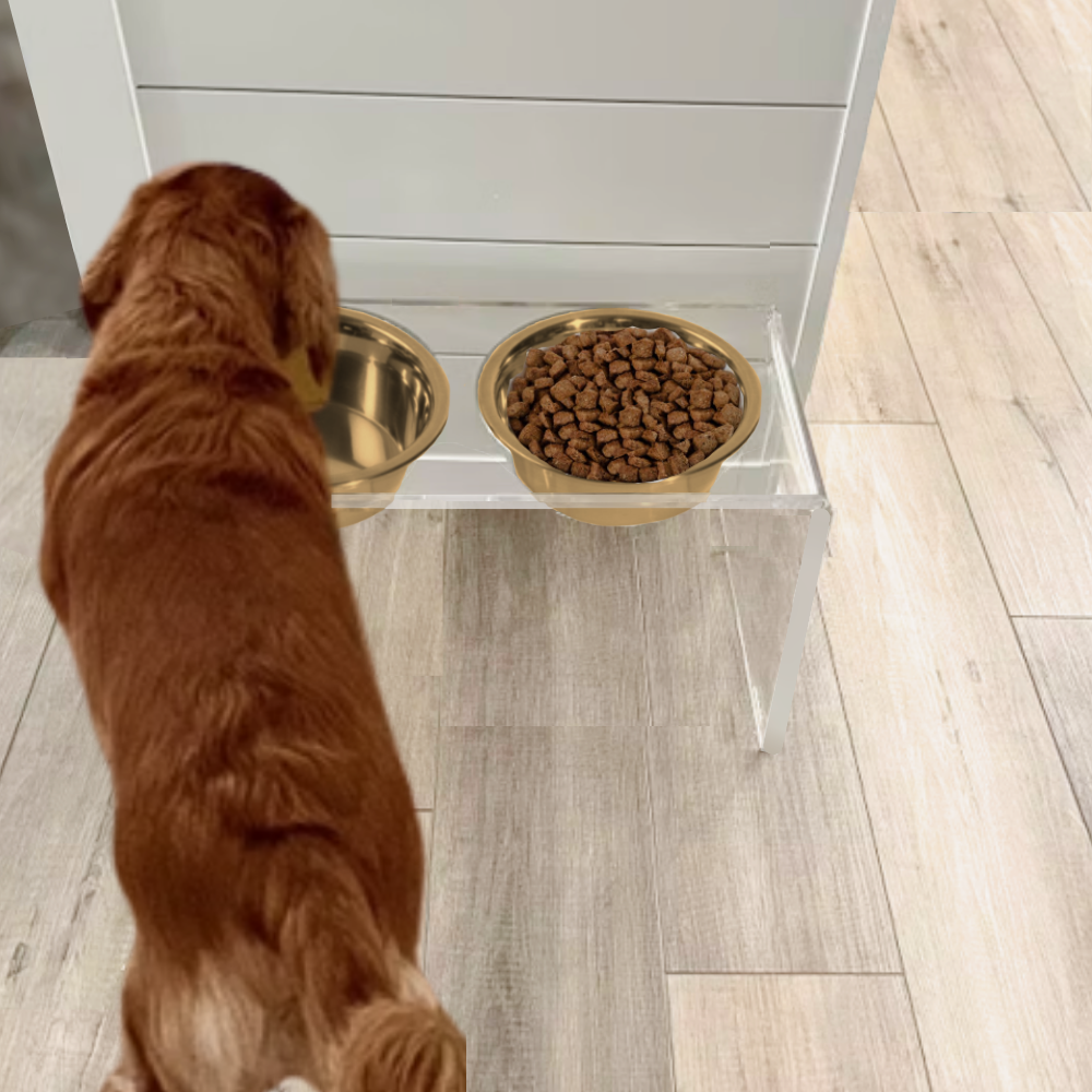 Dog eating from the tall clear double gold feeder