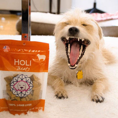 Freeze-Dried Lamb Liver Dog Treats